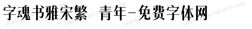 字魂书雅宋繁 青年字体转换